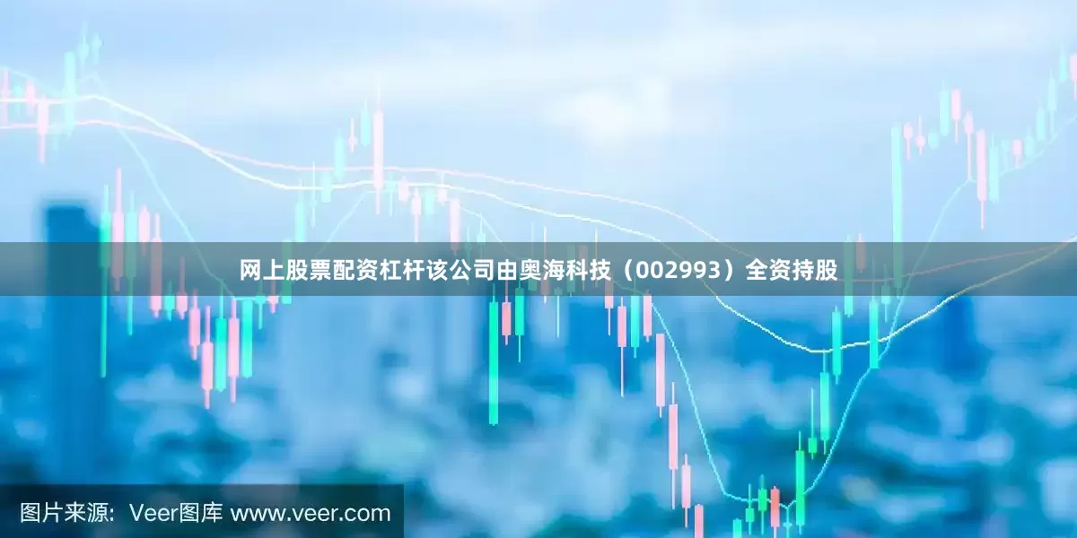 网上股票配资杠杆该公司由奥海科技（002993）全资持股