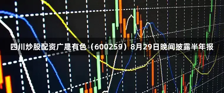 四川炒股配资广晟有色（600259）8月29日晚间披露半年报