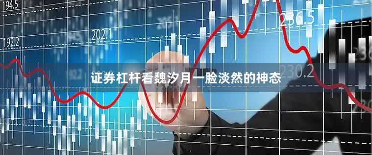 证券杠杆看魏汐月一脸淡然的神态